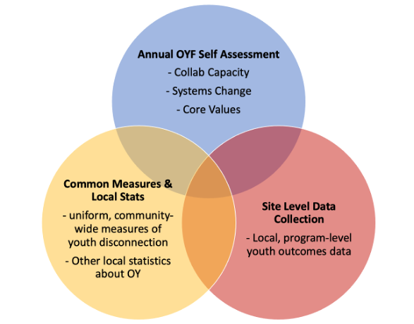 3 items venn diagram with info/data sources named